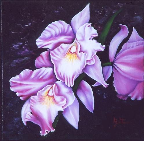 34. Orqudeas