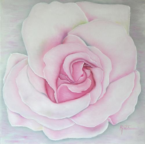 47. Rosa blanca y rosa fuerte.