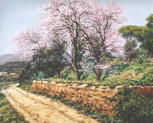 1. Almendros en flor. San Feliu de Guxols