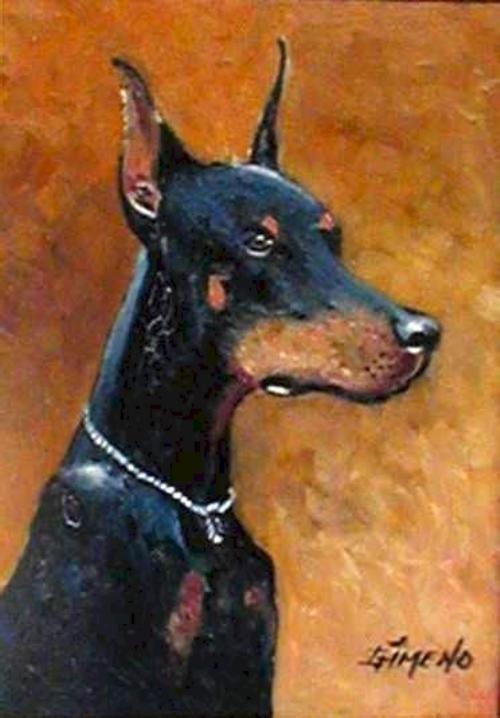 11. Mi doberman