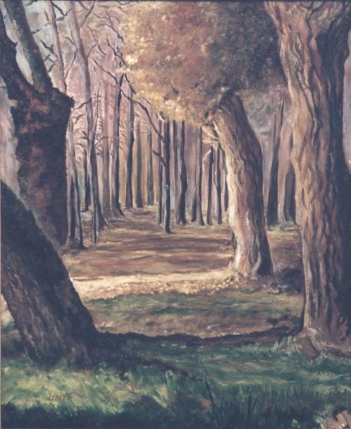 9. Entrada al bosque