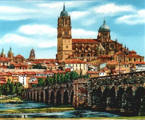 7. Panormica de Salamanca