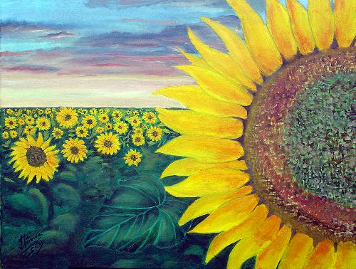 11. Girasoles