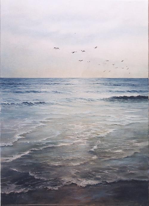 6. Bajamar y gaviotas